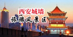 被操高潮簧片开苞中国陕西-西安城墙旅游风景区