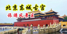 啊啊啊免费搡逼视频中国北京-东城古宫旅游风景区